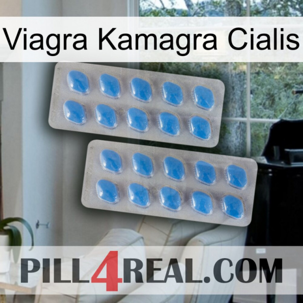 Viagra Kamagra Cialis 23.jpg